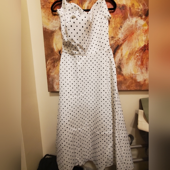 Sz NWT Saloni polka dot maxi dress - Main Image
